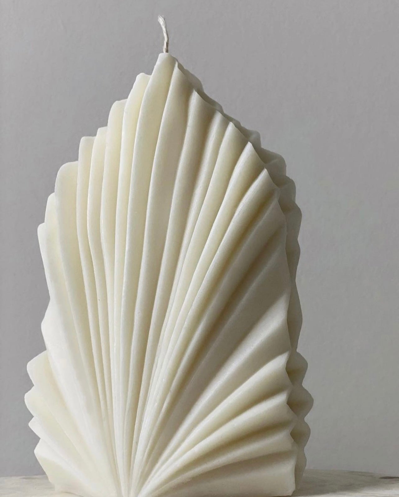 Palmier