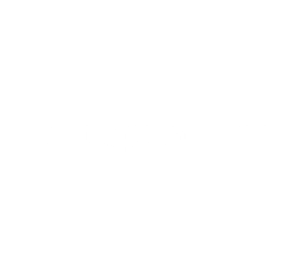 Entreprenaari